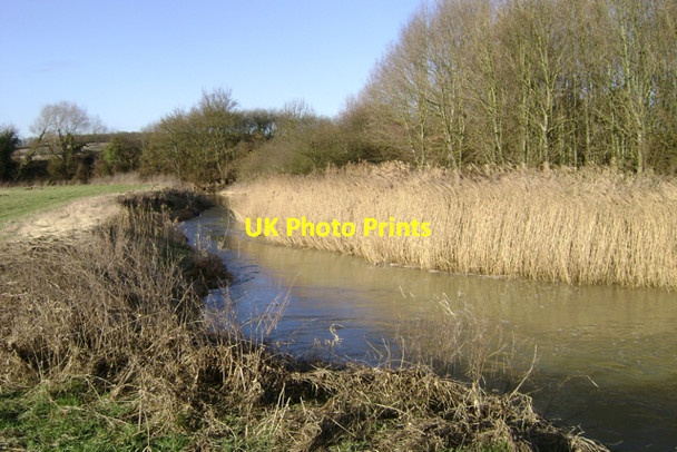 Photo 6"x4" Reedbed by the Leam Hunningham c2010