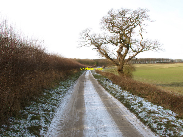 Photo 6"x4" The road to Bishop Burton Wold Bishop Burton c2010