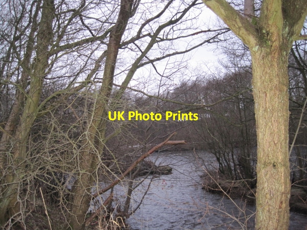 Photo 6"x4" The Confluence of the Hareshaw Burn and the River North Tyne Bellingham\/NY8383 c2010