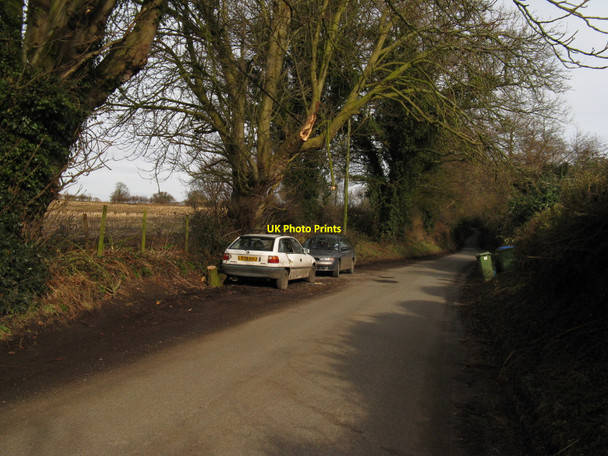 Photo 6"x4" Tree accident West Chiltington c2010
