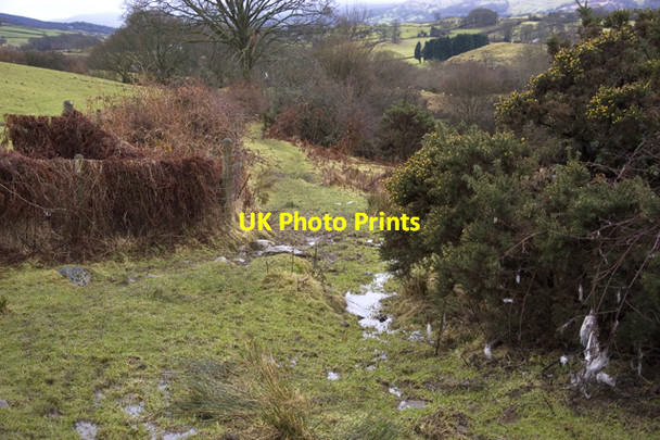 Photo 6"x4" Footpath to Lord's Lot Crosthwaite c2010