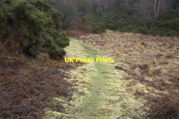 Photo 6"x4" Footpath on Lord's Lot Crosthwaite c2010