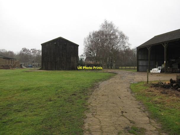 Photo 6"x4" Barns by Brinkley Road Burrough Green c2010