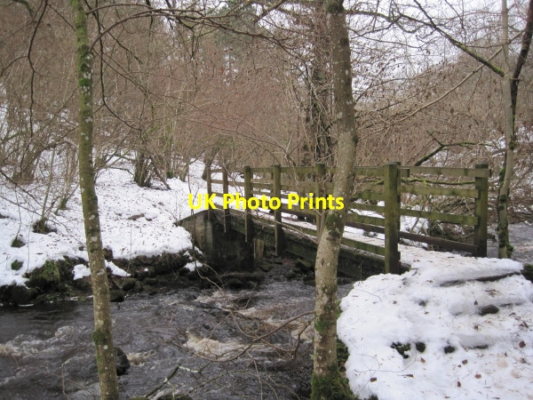 Photo 6"x4" The First Footbridge, Hareshaw Linn Gorge Bellingham\/NY8383 c2010