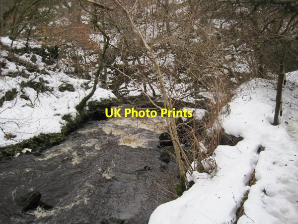 Photo 6"x4" Hareshaw Burn Bellingham\/NY8383 c2010