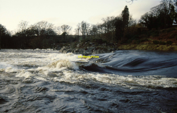 Photo 6"x4" Campsie Linn Stanley\/NO1033 c1992 P1