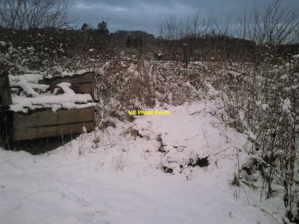 Photo 6"x4" Snowy scene at Woodlands Farm Bexley c2010