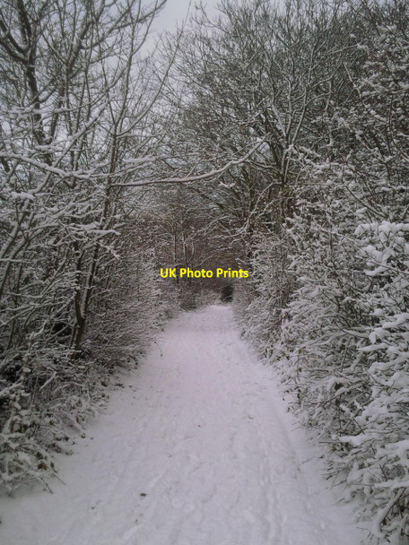 Photo 6"x4" Snowy trackway on Woodlands Farm Bexley c2010