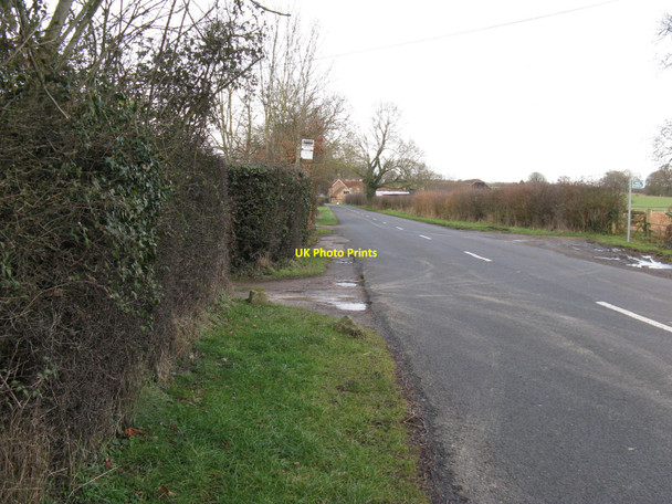 Photo 6"x4" View north on the Coolham to Brooks Green road Brooks Green c2010