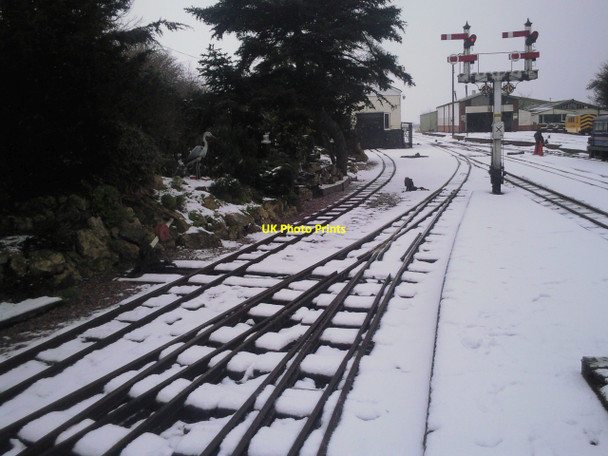 Photo 6"x4" The garden at New Romney station in winter New Romney c2010