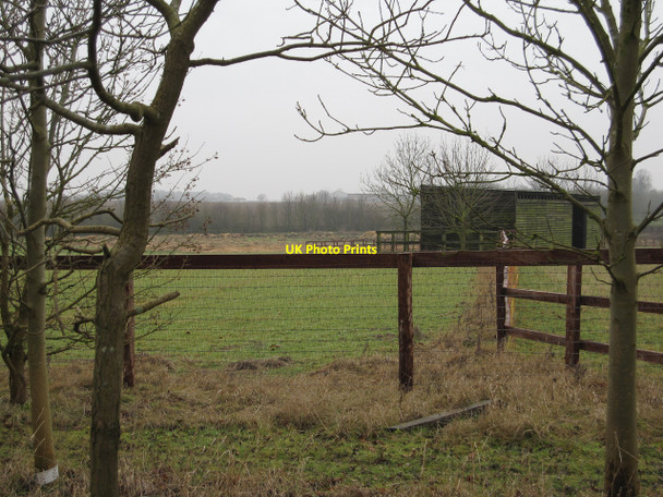 Photo 6"x4" Stud Farm Dullingham Ley c2010
