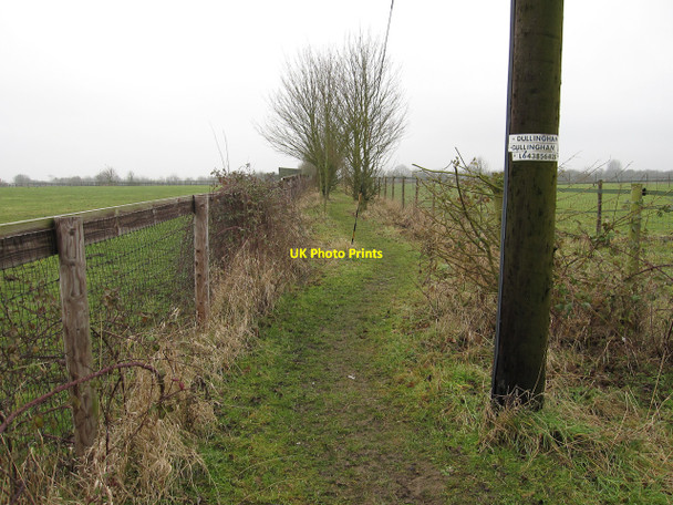 Photo 6"x4" Footpath to Burrough Green Dullingham Ley c2010