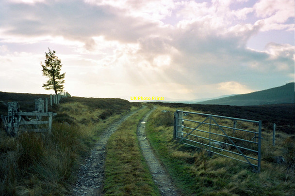 Photo 6"x4" Gated entrance to  track north from Auchnagallin Auchnagallin c2003