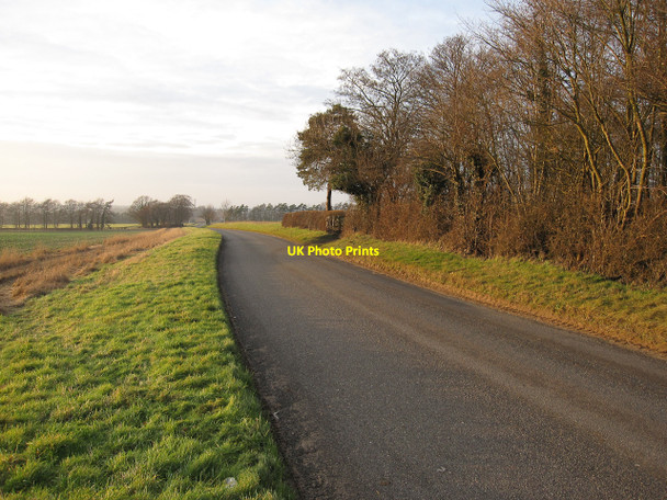 Photo 6"x4" Road past Fir Bush Dullingham c2010
