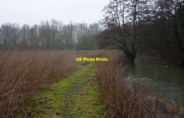 Photo 6"x4" Gipping footpath in winter Darmsden c2010