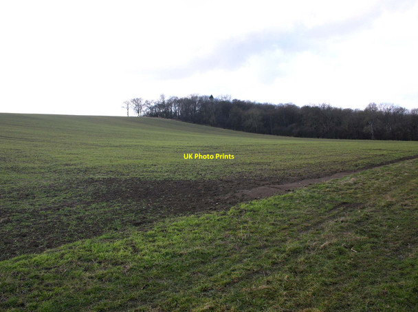 Photo 6"x4" Heath Wood Ettington c2010