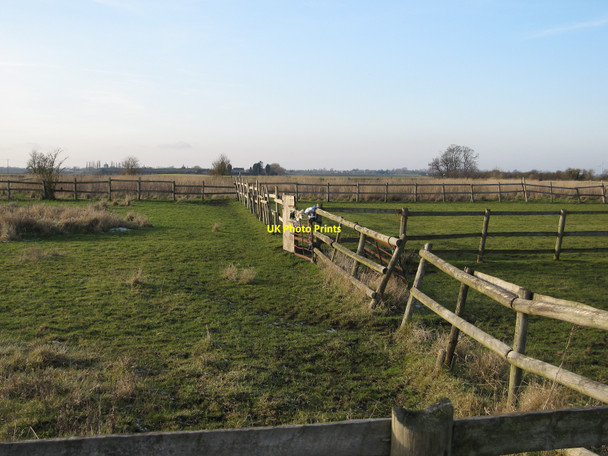 Photo 6"x4" Paddocks by Thirties Farm Stonea c2010