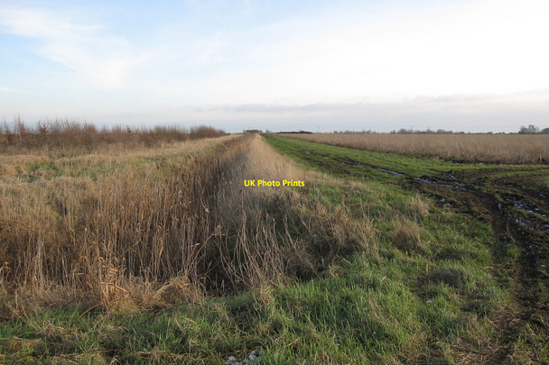 Photo 6"x4" Ditch off Drove Farm Badgeney c2010