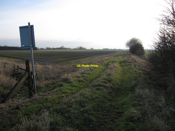 Photo 6"x4" Black Drove across Horse Moor Stonea c2010
