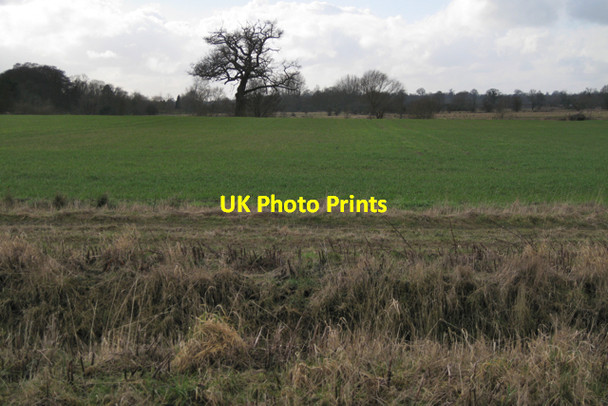 Photo 6"x4" Ditch and field north of Bubbenhall Bubbenhall c2010
