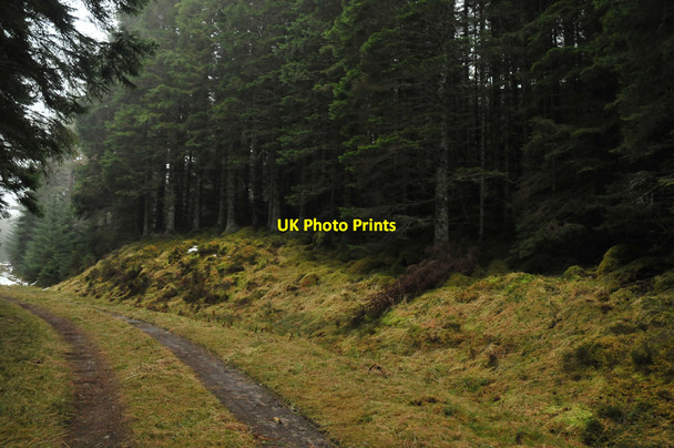 Photo 6"x4" Forestry road in Lochletter Wood Balnain\/NH4430 c2010