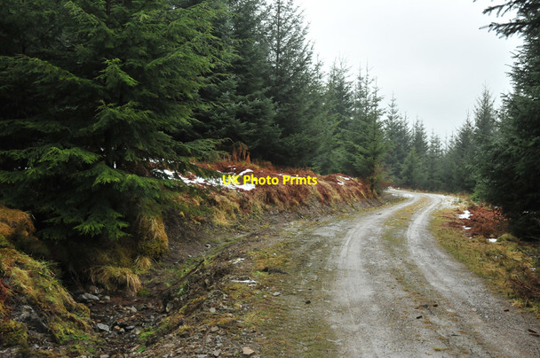 Photo 6"x4" Forestry road in Lochletter Wood Balnain\/NH4430 c2010