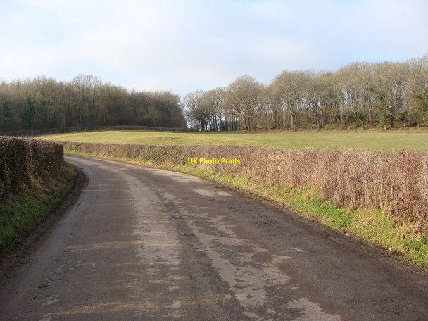 Photo 6"x4" Bend in the road, near Pwllmeyric Chepstow\/Cas-Gwent c2010