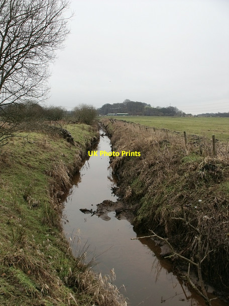 Photo 6"x4" The Shawend Burn in the Upper Kelvin Valley Kilsyth c2010