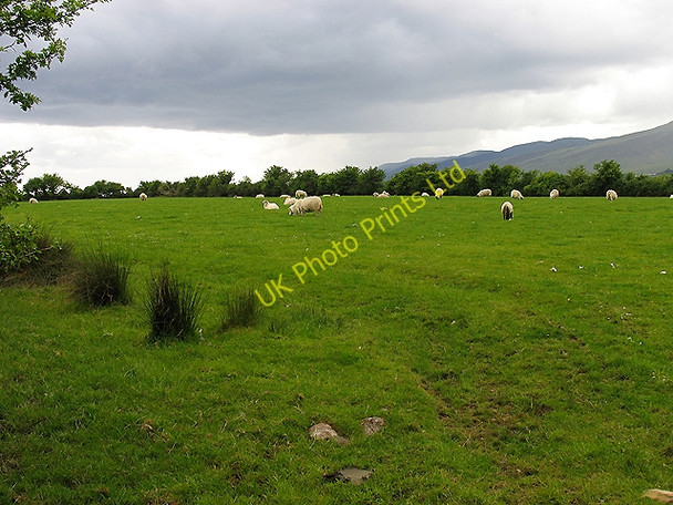 Photo 6"x4" Pasture near Keel Fybagh c2005