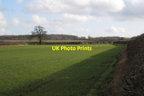 Photo 6"x4" The shadow of a hedge Bubbenhall c2010