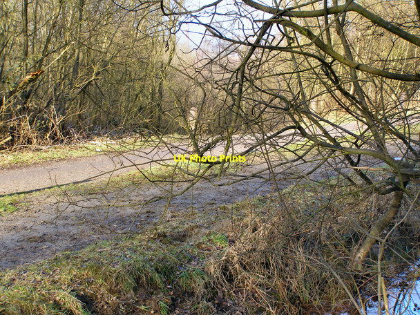 Photo 6"x4" Woodland Track Radcliffe\/SD7807 c2010