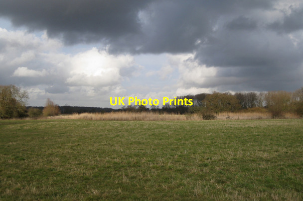 Photo 6"x4" Reedbeds by the Avon Bubbenhall c2010