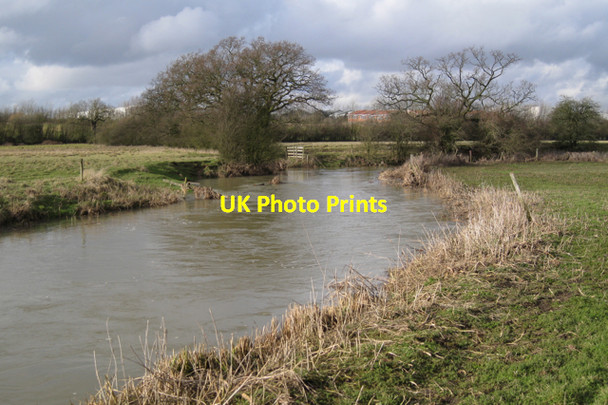 Photo 6"x4" Oaks by the Avon Bubbenhall c2010