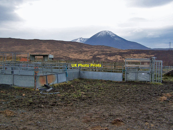 Photo 6"x4" Sheep fank by the Heaste road Blackpark\/A' Phairce Dhubh c2010
