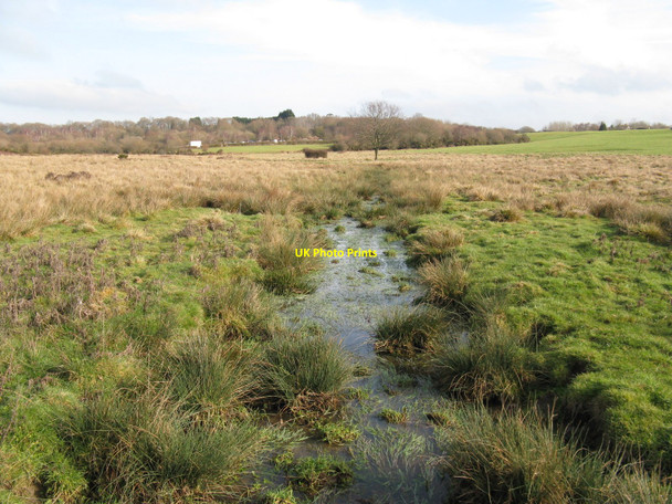 Photo 6"x4" Feeder stream flowing towards the Fish Pond on Ditchling Common Burgess Hill c2010