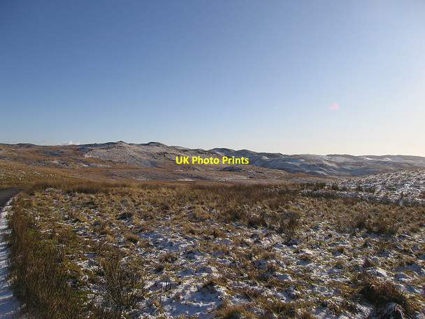 Photo 6"x4" Source grounds of the Afon Teifi Ffair-Rhos c2010