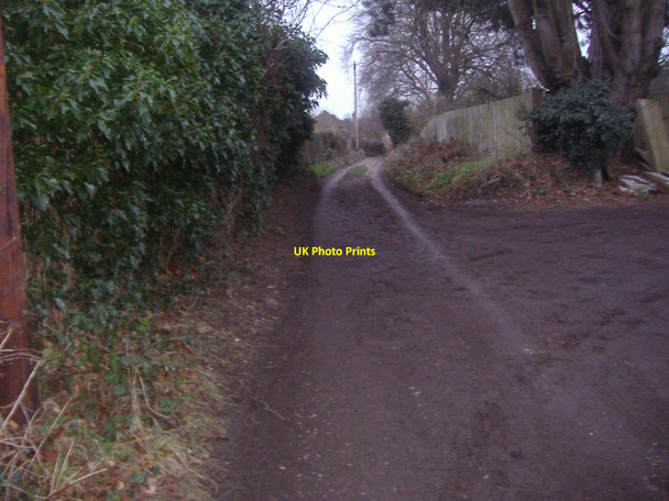 Photo 6"x4" Bridleway, Worple Road Leatherhead Leatherhead c2010