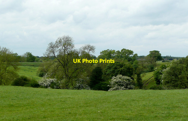 Photo 6"x4" Pasture and dingle near Ravensmoor, Cheshire Nantwich c2009