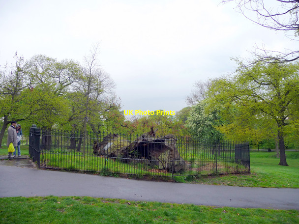 Photo 6"x4" Queen Elizabeth's Oak, Greenwich Park, Greenwich Greenwich\/TQ3977 c2009