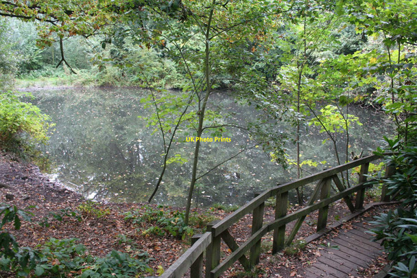 Photo 6"x4" Pond, Grappenhall Heys Wrights Green c2009