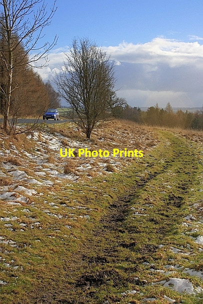 Photo 6"x4" Bridleway at Newgate Bank Hawnby c2010