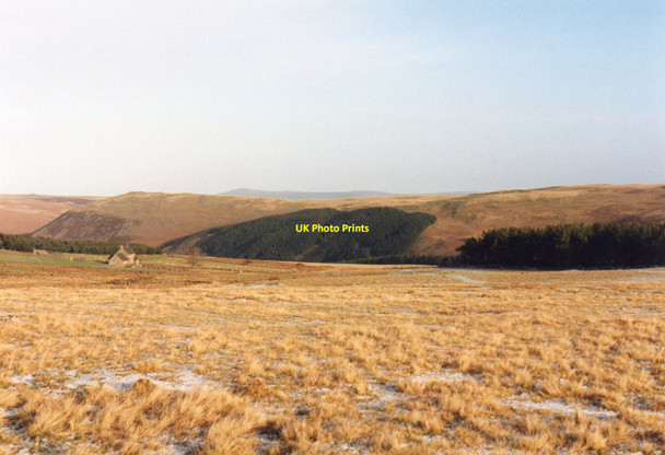 Photo 6"x4" View Towards Chesters Linhope\/NT9616 c1991