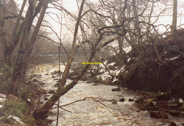 Photo 6"x4" Footbridge over the River East Allen Sinderhope c1991