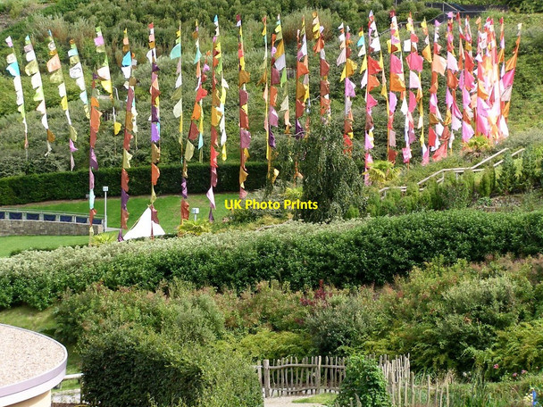 Photo 6"x4" Eden Project St Austell c2008