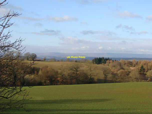 Photo 6"x4" Field, and view from lay-by on the A49 King's Thorn c2010