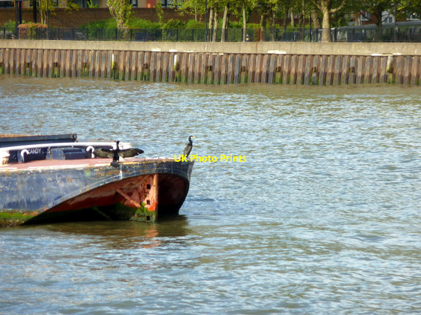 Photo 6"x4" River Thames near Canary Wharf Deptford\/TQ3677 c2009