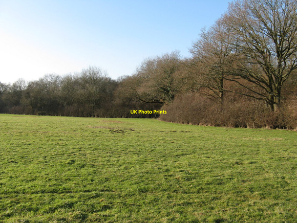 Photo 6"x4" Northern spur of Cottage Wood Wivelsfield Green c2010
