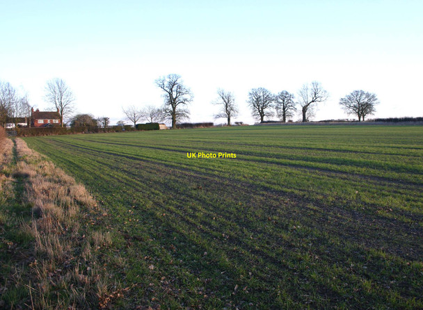 Photo 6"x4" Field south of Stonebridge Lane Hunningham Hill c2010
