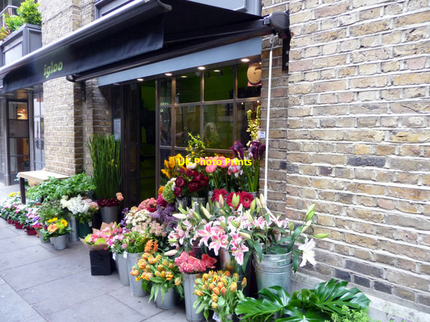 Photo 6"x4" Flower Shop, Shad Thames, London SE1 London c2009