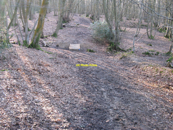 Photo 6"x4" Bridge over ditch in West Wood Wivelsfield c2010